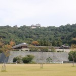 IMG_0035